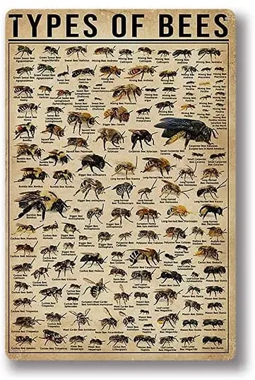 Old Art Retro Metal Tin Sign Types of Bees ! for Shop/Home/Farm/Cafe/Garage/Wall Decor,Best Gift Decor Design 8x12 Inch
Old Art Retro Metal Tin Sign Types of Bees ! for Shop/Home/Farm/Cafe/Garage/Wall Decor,Best Gift Decor Design 8x12 Inch