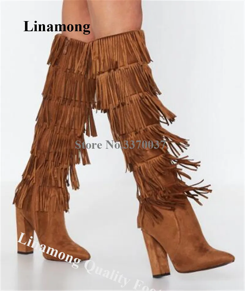 

Linamong Charming Pointed Toe Suede Leather Knee High Chunky Heel Tassels Boots Sexy Fringes Long Thick Heel Boots Dress Heels