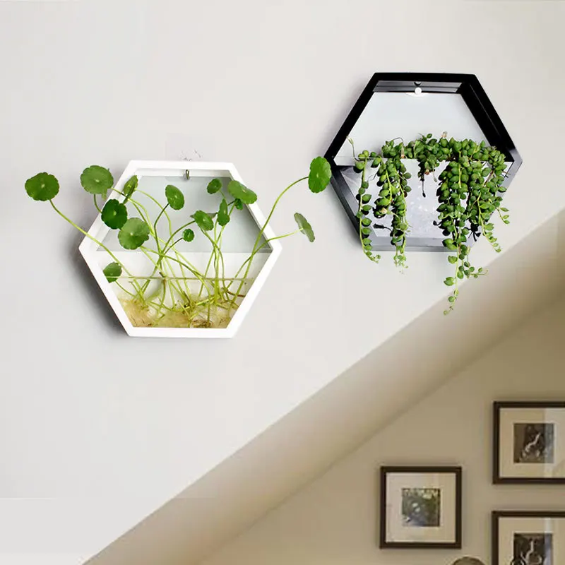 

Brief Handmade Acrylic Chlorophytum Flower Pot Hanging Wall Scindapsus Hydroponics Plant Vase Home Living Room Modern Decoration