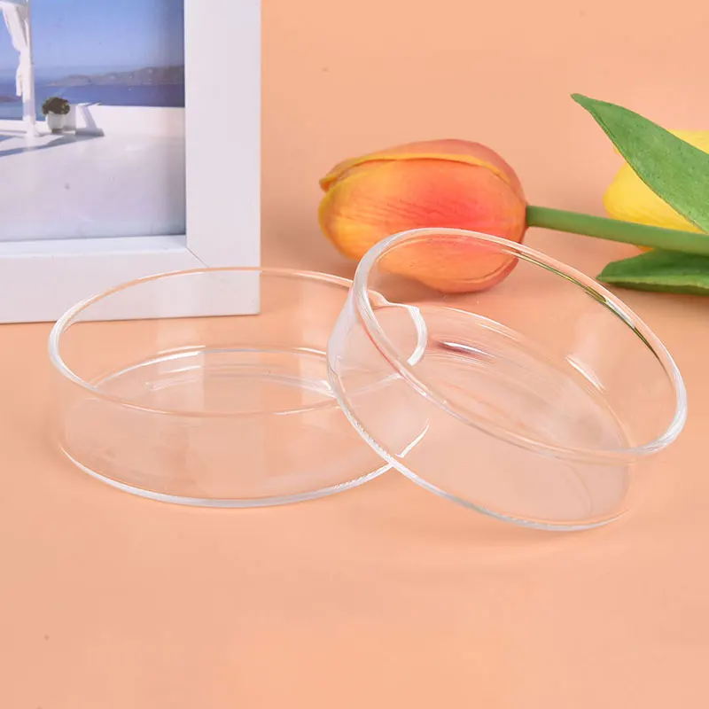 1PC Clear Glass Shrimp Feeding Food Dish Feeder Tray Round Aquarium Feeding Bowls Cheap Wholesale Dropshipping
1PC Clear Glass Shrimp Feeding Food Dish Feeder Tray Round Aquarium Feeding Bowls Cheap Wholesale Dropshipping