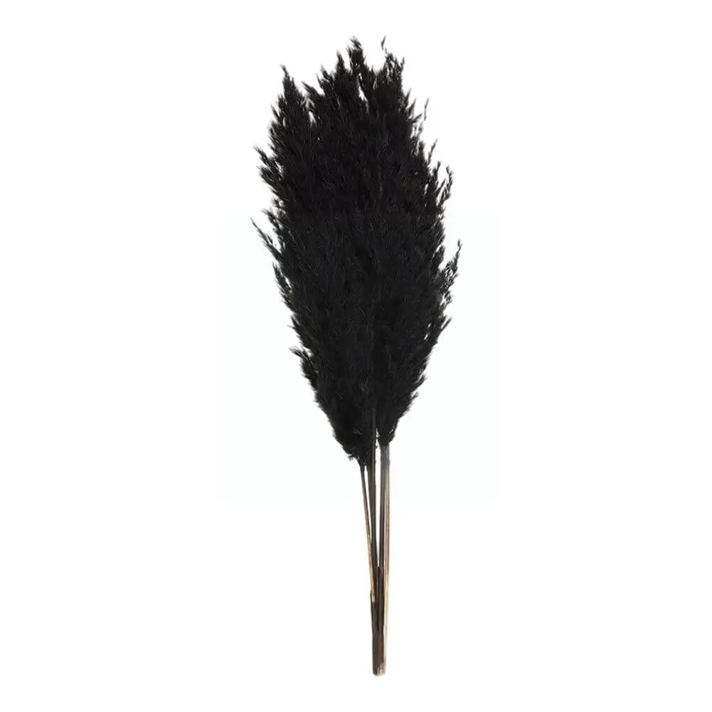 Black Color Wedding Flowers Bunch Natural Dried Pampas Home Flower Beautiful Phragmites Christmas Decoration Reed Grass Wed 
Black Color Wedding Flowers Bunch Natural Dried Pampas Home Flower Beautiful Phragmites Christmas Decoration Reed Grass Wed