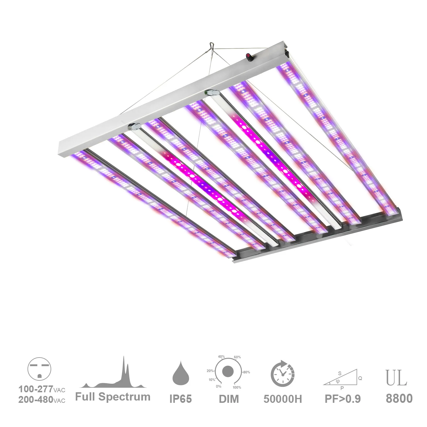 BDGL2506 / +2UVIR Plant Light Grow Light LED Light Indoor Planting Greenhouse Full Spectrum Long Tree Octopus Full Spectrum UV
BDGL2506 / +2UVIR Plant Light Grow Light LED Light Indoor Planting Greenhouse Full Spectrum Long Tree Octopus Full Spectrum UV