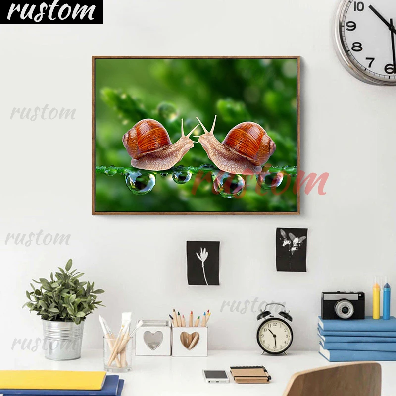 Drill 5D DIY Diamond Snails diomand Painting Cross Stitch Mosaic Rhinestone Home Decor Full Square/Round Embroidery animal art R
Drill 5D DIY Diamond Snails diomand Painting Cross Stitch Mosaic Rhinestone Home Decor Full Square/Round Embroidery animal art R