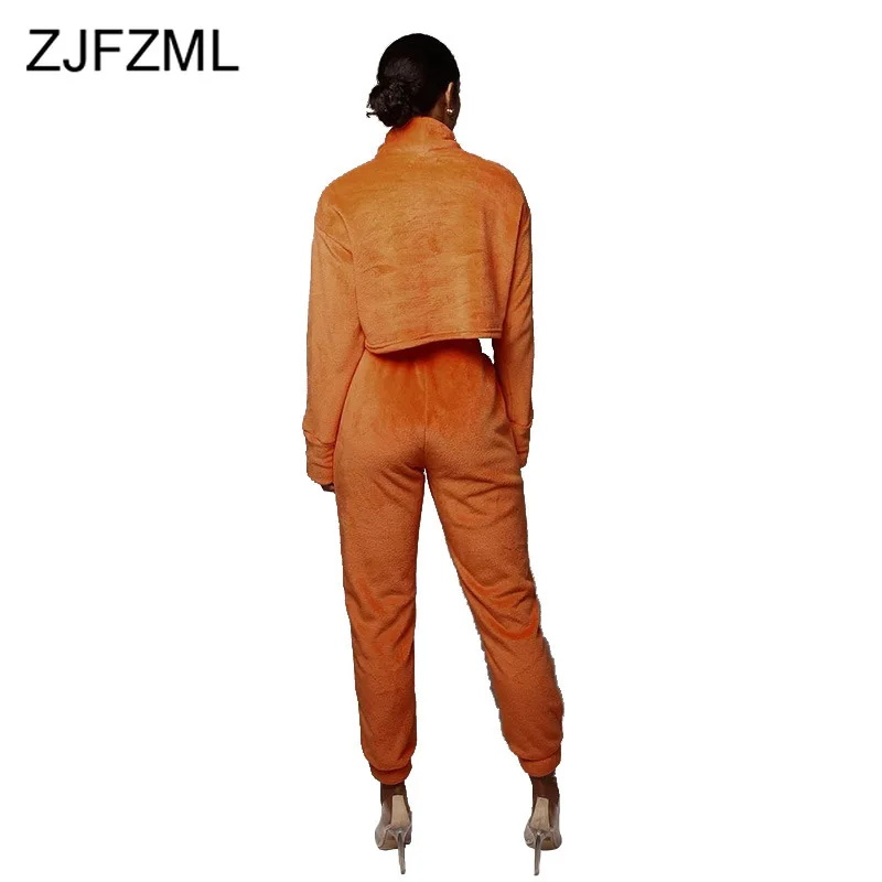 Plush Solid Causal Two Piece Winter Set Women Clothes High Neck Full Sleeve Loose Crop Tops + Long Pants Plus Size 2 Piece Set
Plush Solid Causal Two Piece Winter Set Women Clothes High Neck Full Sleeve Loose Crop Tops + Long Pants Plus Size 2 Piece Set