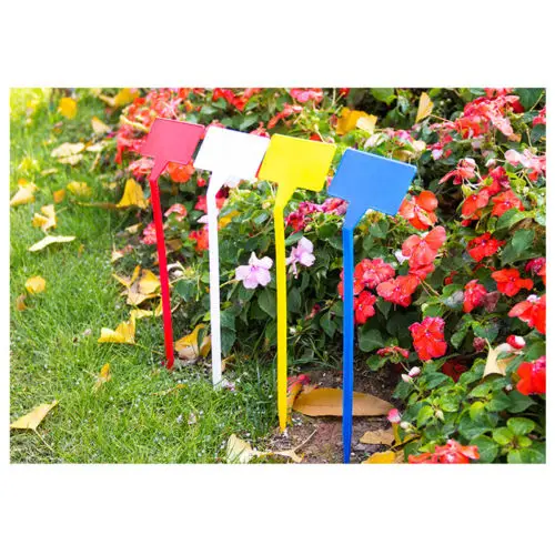 10PCS T-Type Upturned Marker Plant Labels Tags Plastic Seedl Nursery Garden Stick Nursery Stake Gardening Accessories New
10PCS T-Type Upturned Marker Plant Labels Tags Plastic Seedl Nursery Garden Stick Nursery Stake Gardening Accessories New