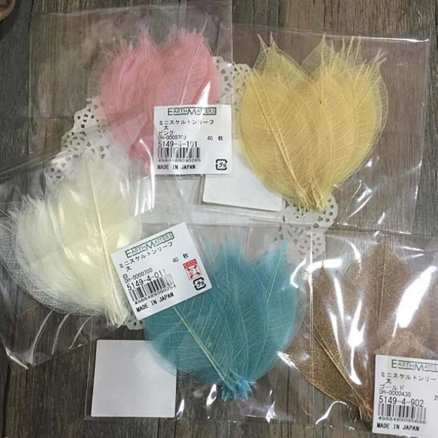 100pcs 6-8cm Natural Dried Rubber Tree Leaf Leaves Plants Herbarium For Jewelry Bookmark Postcard Making Accessories 
100pcs 6-8cm Natural Dried Rubber Tree Leaf Leaves Plants Herbarium For Jewelry Bookmark Postcard Making Accessories