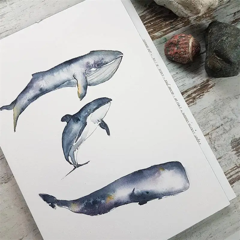 New Arrivals Clear Stamps for DIY Scrapbooking Card Whale Rubber Stamps Making Photo Album Crafts Transparent Stamps Decorative
New Arrivals Clear Stamps for DIY Scrapbooking Card Whale Rubber Stamps Making Photo Album Crafts Transparent Stamps Decorative