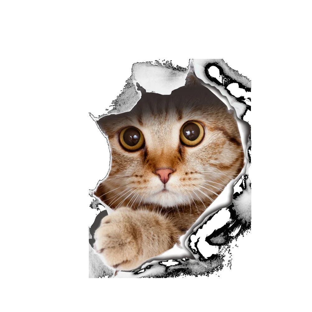 Cat Toilet Seat Sticker Bathroom Wallpaper Decal Removable PVC Wall Stickers for Home Decoration (Type-14109)
Cat Toilet Seat Sticker Bathroom Wallpaper Decal Removable PVC Wall Stickers for Home Decoration (Type-14109)