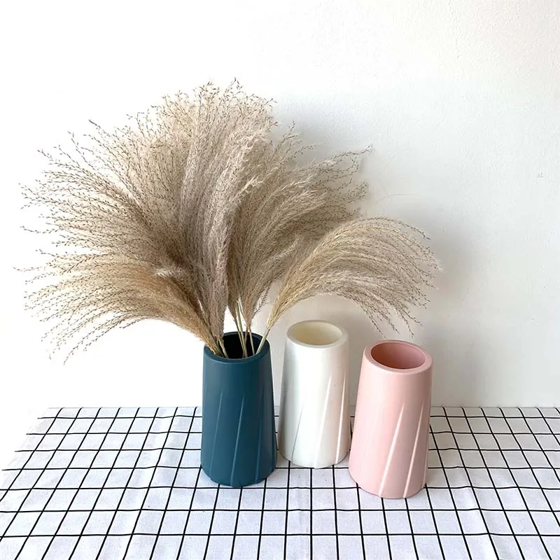 20 reed wedding decorations gardening flower arrangement natural plants dry flowers colored plastic vases artificial flowers
20 reed wedding decorations gardening flower arrangement natural plants dry flowers colored plastic vases artificial flowers