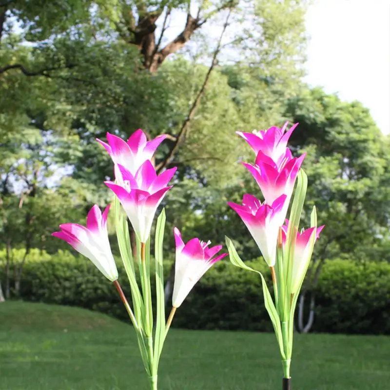 Solar Light LED Lily Lawn Light Outdoor Waterproof Garden Courtyard Park Path Corridor Lawn Decorative Lighting Garden Accessory
Solar Light LED Lily Lawn Light Outdoor Waterproof Garden Courtyard Park Path Corridor Lawn Decorative Lighting Garden Accessory