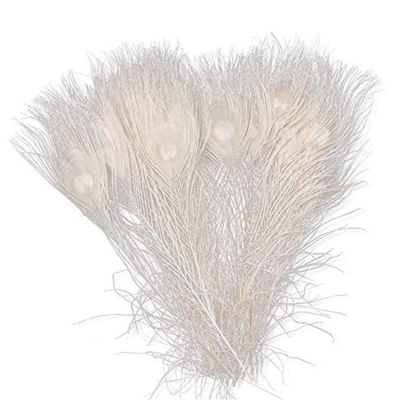 50 PCS/Natural White Peacock Feathers in the Eye, 10 to 12 Inches of the Peacock Feather Wedding Decoration
50 PCS/Natural White Peacock Feathers in the Eye, 10 to 12 Inches of the Peacock Feather Wedding Decoration