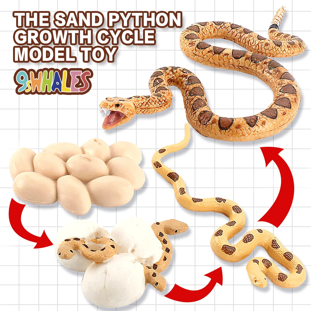 

Реалистичный песок питон цикл роста образовательная игрушка Непоседа модель змеи ПВХ сцена дизайн имитация порошка игрушка фигурка украше...