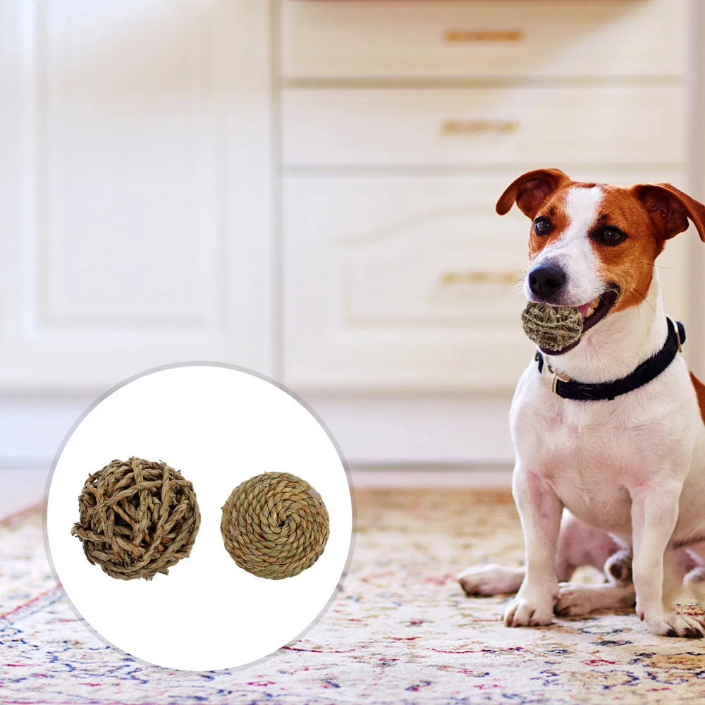 2pcs Rabbit Bunny Chinchilla Guinea Pigs Straw Rodent Pets Teething 
2pcs Rabbit Bunny Chinchilla Guinea Pigs Straw Rodent Pets Teething