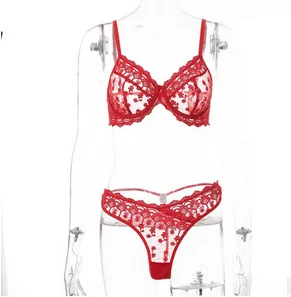 Sexy Lingerie See Through Bra Brief Sets Embroidery Transparent Red Bra Thong Panties Briefs Babydoll Underwear Sleepwear
Sexy Lingerie See Through Bra Brief Sets Embroidery Transparent Red Bra Thong Panties Briefs Babydoll Underwear Sleepwear
