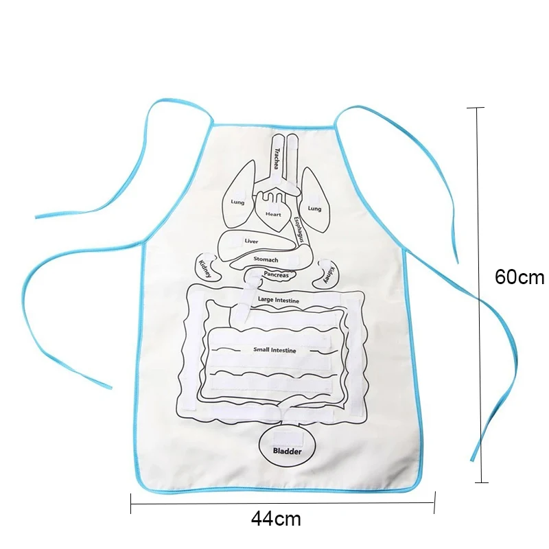 Baby Early Education Puzzle Apron Washable Human Internal Organs Teaching Pure Cotton Apron Three-Dimensional Organ Apron
Baby Early Education Puzzle Apron Washable Human Internal Organs Teaching Pure Cotton Apron Three-Dimensional Organ Apron