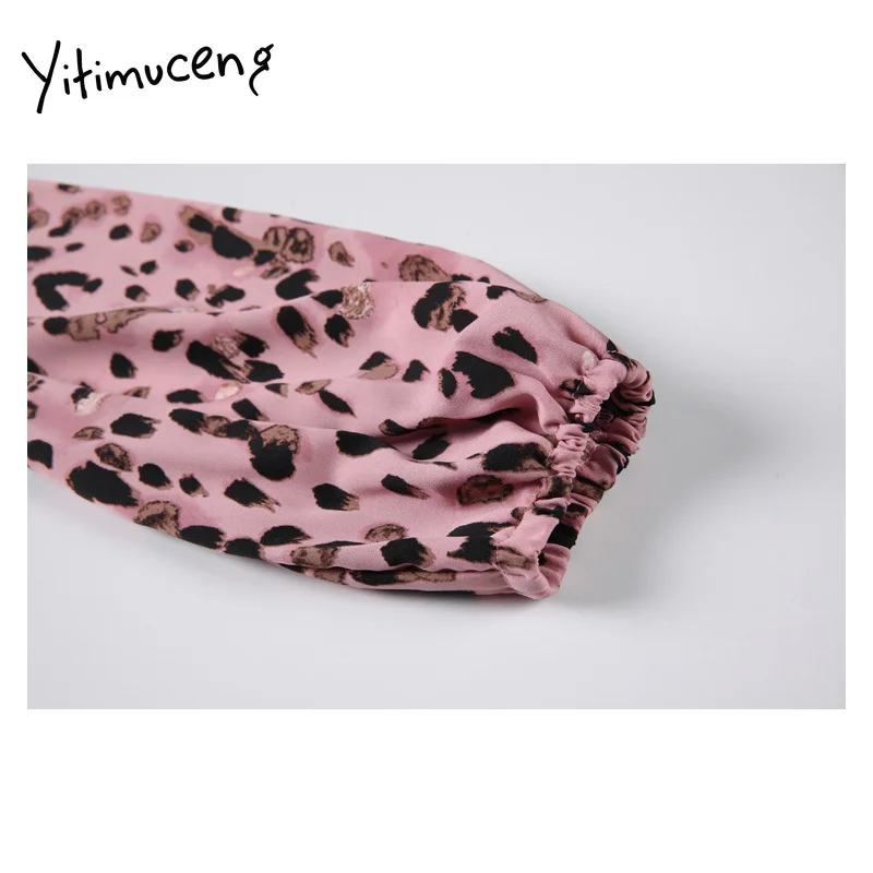 Yitimuceng Leopard Print Pink Dresses for Women Party Long Sleeve Sexy Club Bust Draped Spring Summer 2021 Dresses for Women
Yitimuceng Leopard Print Pink Dresses for Women Party Long Sleeve Sexy Club Bust Draped Spring Summer 2021 Dresses for Women