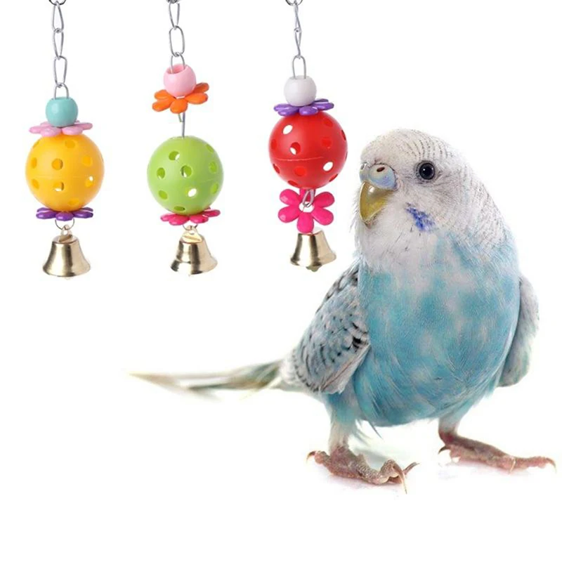 Small And Medium Parrot Toy Egg Bell Ball Hanging Parrot Toy Pet Bite Chew Interactive Toy Ball And Bird Accessories
Small And Medium Parrot Toy Egg Bell Ball Hanging Parrot Toy Pet Bite Chew Interactive Toy Ball And Bird Accessories