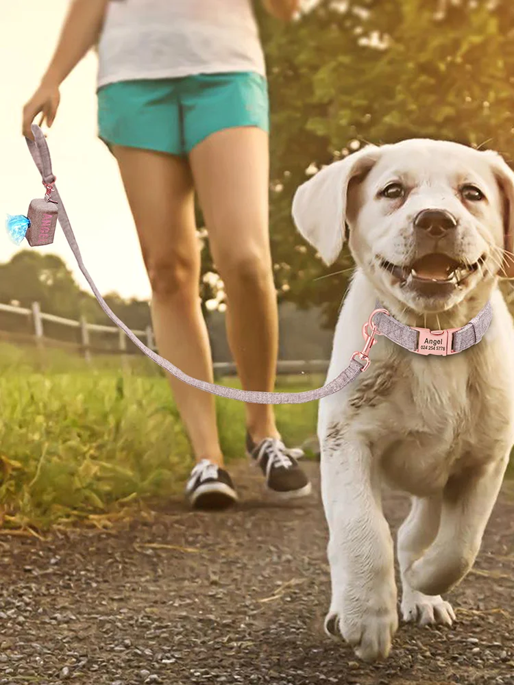 2021 Personalized Dog Garbage Bag And Leash Set Protable Travel Snack Bag With Walking Leash Pet Accessories Free Customized
2021 Personalized Dog Garbage Bag And Leash Set Protable Travel Snack Bag With Walking Leash Pet Accessories Free Customized