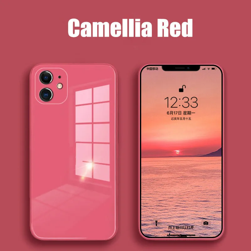 For iPhone 11 12 Pro Max Mini XR XS X Case Liquid Square Tempered Glass Shockproof Soft Frame Back Cover
For iPhone 11 12 Pro Max Mini XR XS X Case Liquid Square Tempered Glass Shockproof Soft Frame Back Cover