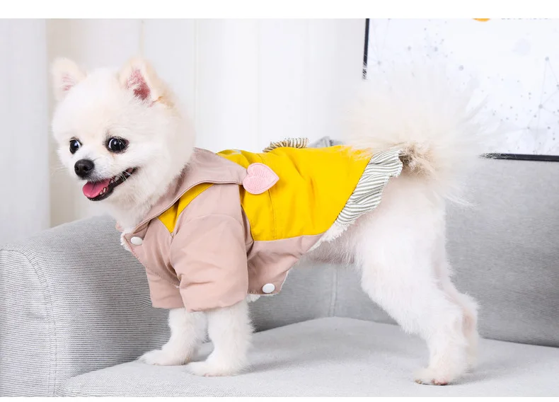 Зимние платья с милыми сердечками, кошка, щенок, померанский Ших, Tzu, мальтский Йоркширский терьер, шнаузер, Бишон, пудель 
Зимние платья с милыми сердечками, кошка, щенок, померанский Ших, Tzu, мальтский Йоркширский терьер, шнаузер, Бишон, пудель