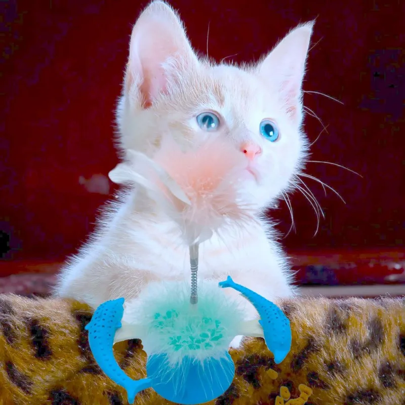 Cat Feathers Funny Cat Routine Rose Toy Toy Feather Leaker Toy Throwing Toy Interactive Supplies
Cat Feathers Funny Cat Routine Rose Toy Toy Feather Leaker Toy Throwing Toy Interactive Supplies