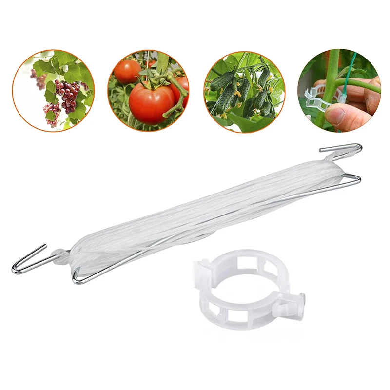 10pcs Plant vegetable hook Plant growth puller Hook Tomato Support Clips Vegetable Support Prevent Tomatoe from Pinching
10pcs Plant vegetable hook Plant growth puller Hook Tomato Support Clips Vegetable Support Prevent Tomatoe from Pinching