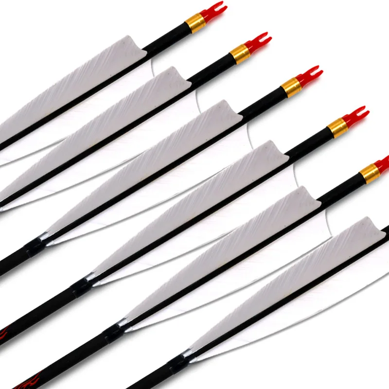 

12pcs ID6.2mm Spine 300 340 400 500 600 700 800 Pure Carbon Arrow 5"Feathers 100Grain Tips Archery for Compound Bow Shooting