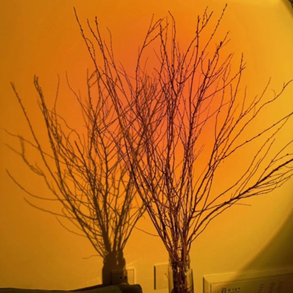 Rechargeable Sunset lamp Night Light Sun Projection Desk Lamp for Bedroom Bar Coffee Store Wall Decoration Lighting
Rechargeable Sunset lamp Night Light Sun Projection Desk Lamp for Bedroom Bar Coffee Store Wall Decoration Lighting