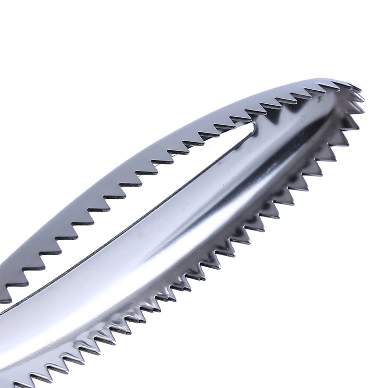 Stainless Fish Scales Scraping Graters Fast Remove Fish Cleaning Peeler Scraper Fish Bone Tweezers Kitchen Accessorie Tool Gadge
Stainless Fish Scales Scraping Graters Fast Remove Fish Cleaning Peeler Scraper Fish Bone Tweezers Kitchen Accessorie Tool Gadge