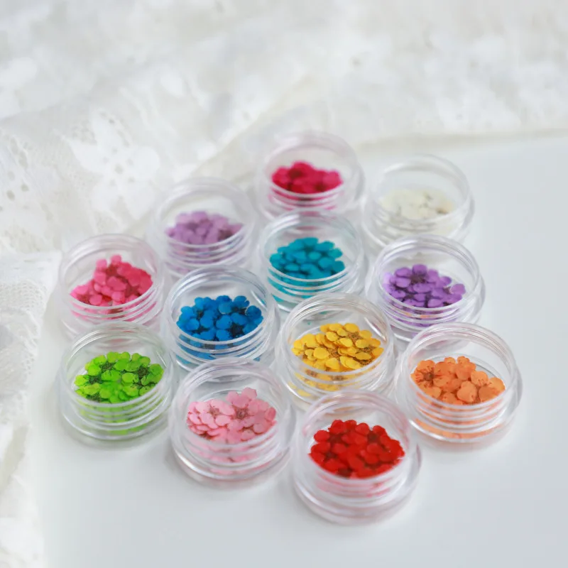 20pcs/Jar Dried Flowers for Nail Art 12 Colors Dry Flowers Mini Real Natural Flowers Nail Art Supplies DIY Nail Decoration Decal
20pcs/Jar Dried Flowers for Nail Art 12 Colors Dry Flowers Mini Real Natural Flowers Nail Art Supplies DIY Nail Decoration Decal