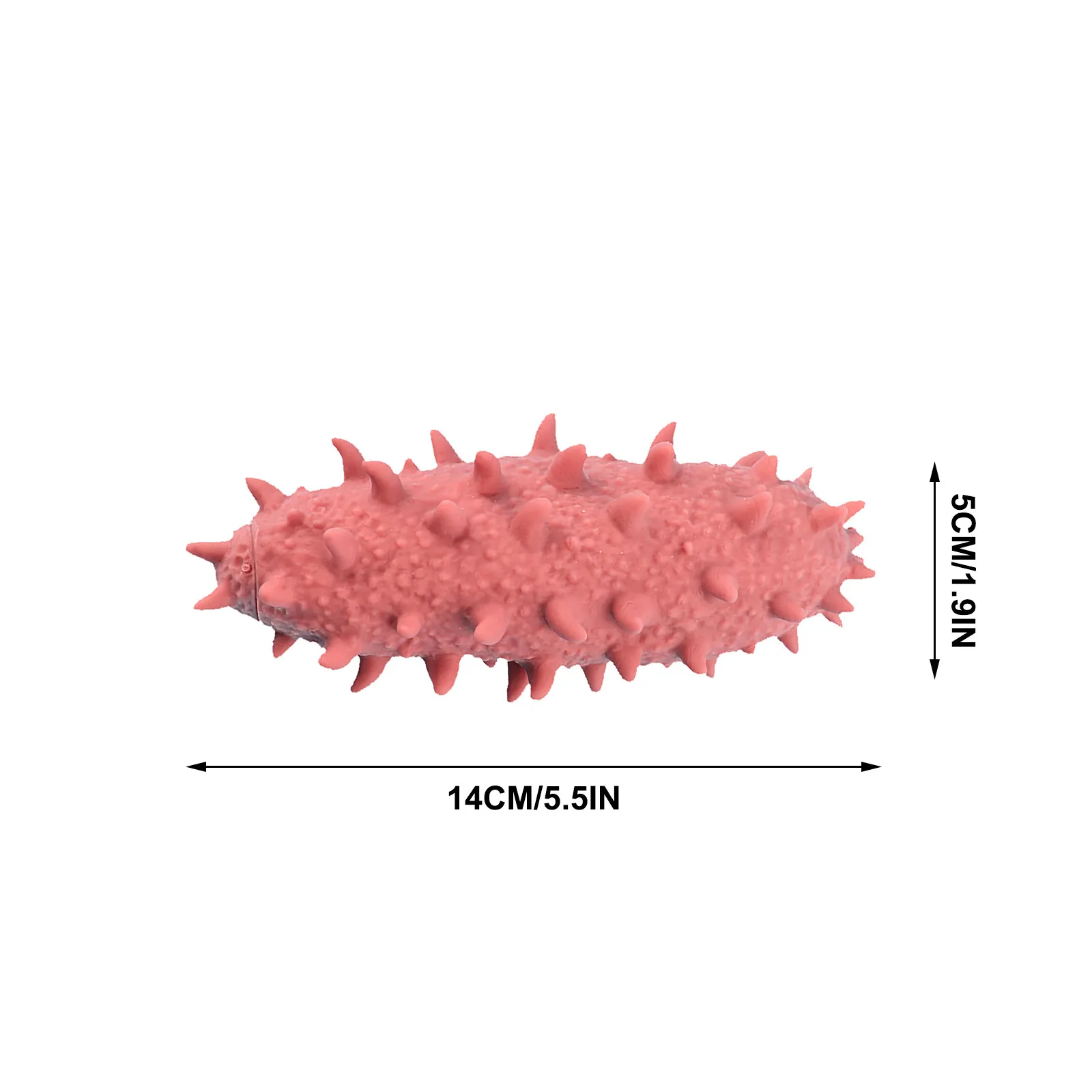 Cute Colourful The Sea Cucumber Relieves Stress Toy Physiotherapy Releases Stress Sensory Squeeze Squishy Antistress Fidget
Cute Colourful The Sea Cucumber Relieves Stress Toy Physiotherapy Releases Stress Sensory Squeeze Squishy Antistress Fidget