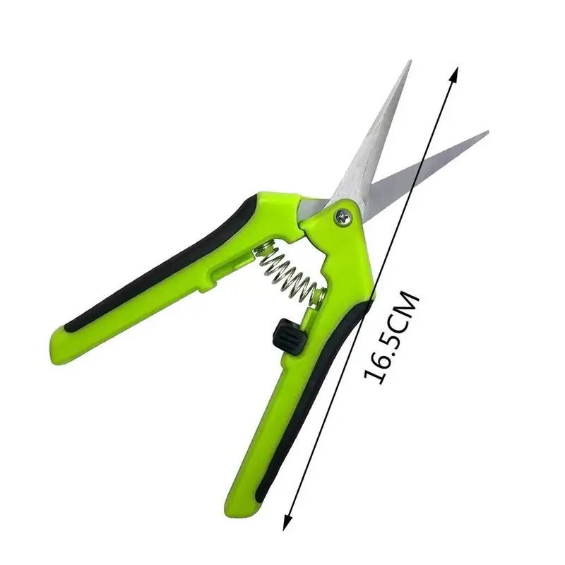 1pc Hydroponic Pruning Shears Gardening Shearing Pruning Hand Functional Cutter Grape Fruit Pruner Pruner Straight Tools Ga O4J4
1pc Hydroponic Pruning Shears Gardening Shearing Pruning Hand Functional Cutter Grape Fruit Pruner Pruner Straight Tools Ga O4J4