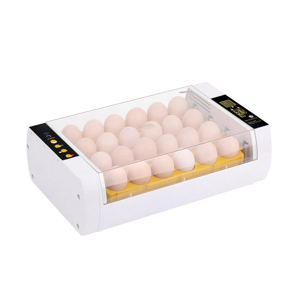 Digital Egg Incubator 24Egg Auto Temperature Control Turning Alarm Function LED Light Observing Growth Automatic Poultry Hatcher
Digital Egg Incubator 24Egg Auto Temperature Control Turning Alarm Function LED Light Observing Growth Automatic Poultry Hatcher