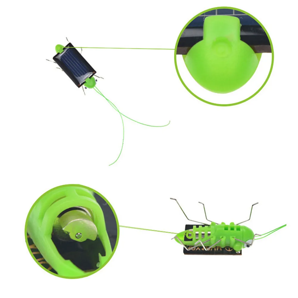 2018 Solar grasshopper Educational Solar Powered Grasshopper Robot Toy required Gadget Gift solar toys No batteries for kids 
2018 Solar grasshopper Educational Solar Powered Grasshopper Robot Toy required Gadget Gift solar toys No batteries for kids