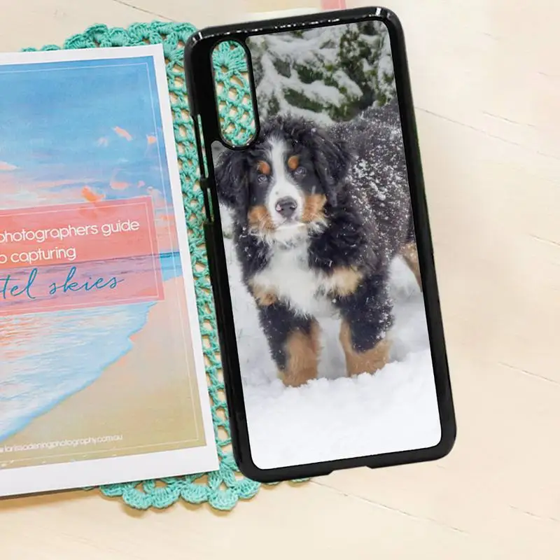 Bernese Mountain Dog fashion fundas Phone Case PC for iPhone 11 12 pro XS MAX 8 7 6 6S Plus X 5S SE 2020 XR
Bernese Mountain Dog fashion fundas Phone Case PC for iPhone 11 12 pro XS MAX 8 7 6 6S Plus X 5S SE 2020 XR