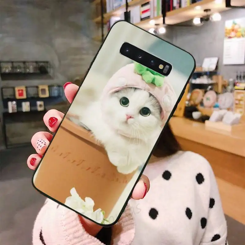 cute cat Phone Case For Samsung A50 A51 A71 A20E A20S S10 S20 S21 S30 Plus ultra 5G M11 funda shell
cute cat Phone Case For Samsung A50 A51 A71 A20E A20S S10 S20 S21 S30 Plus ultra 5G M11 funda shell