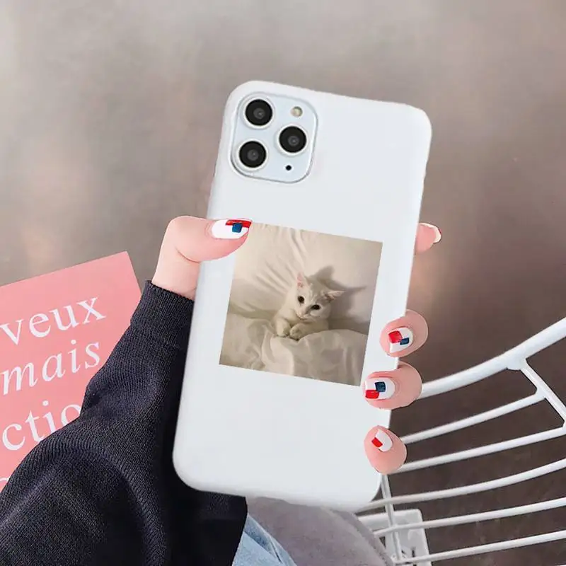 Cute animal cat art design Phone Case Candy Color for iPhone 6 7 8 11 12 s mini pro X XS XR MAX Plus
Cute animal cat art design Phone Case Candy Color for iPhone 6 7 8 11 12 s mini pro X XS XR MAX Plus