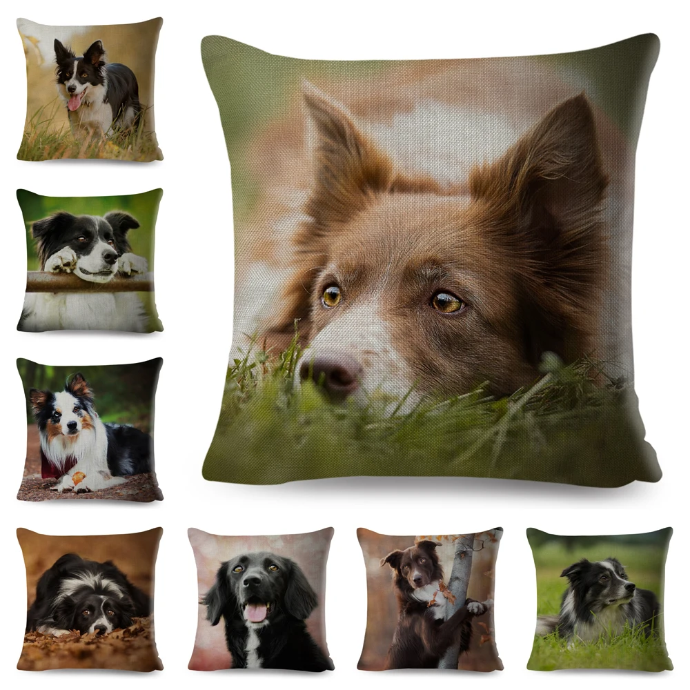 Scotland Border Collie Cushion Cover Decor Cute Pet Animal Dog Printed Pillow Case Polyester Pillowcase for Sofa Home Car 45*45
Scotland Border Collie Cushion Cover Decor Cute Pet Animal Dog Printed Pillow Case Polyester Pillowcase for Sofa Home Car 45*45