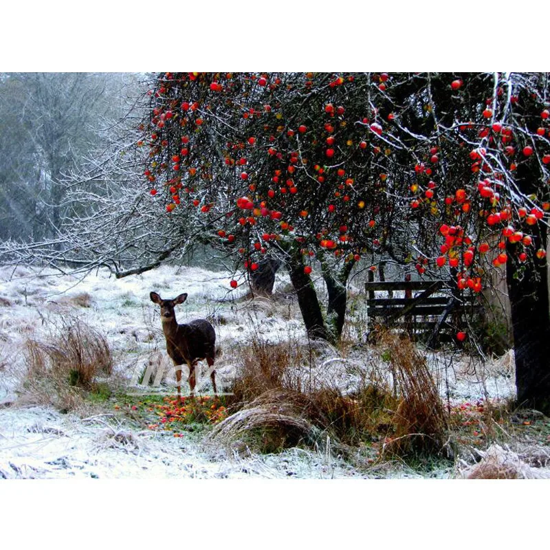 Winter Snow elk 5D DIY Diamond Painting Full Square/Round Diamond Embroidery Sale Picture of Rhinestones mosaic landscape FG1981
Winter Snow elk 5D DIY Diamond Painting Full Square/Round Diamond Embroidery Sale Picture of Rhinestones mosaic landscape FG1981