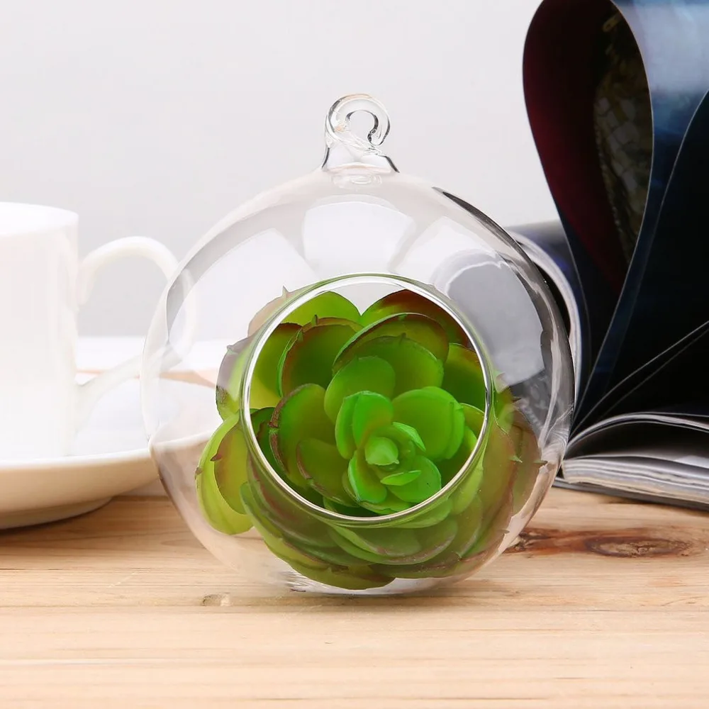 Terrarium Ball Globe Shape Clear Hanging Glass Vase Flower Plants Container Ornament Micro Landscape DIY Gift Wedding Home Decor
Terrarium Ball Globe Shape Clear Hanging Glass Vase Flower Plants Container Ornament Micro Landscape DIY Gift Wedding Home Decor
