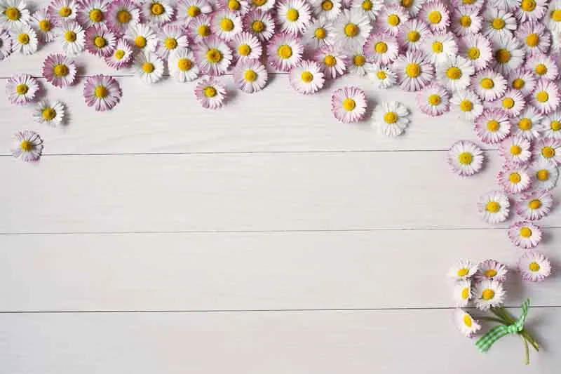 SHENGYONGBAO Vinyl Custom Photography Backdrops Prop Wood Planks Theme Photo Studio Background 19910-06589 
SHENGYONGBAO Vinyl Custom Photography Backdrops Prop Wood Planks Theme Photo Studio Background 19910-06589
