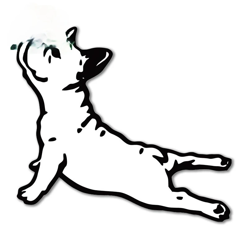 French Bulldog Car Stickers Waterproof Fine Decal Anime Personality Graphics Surfboard Scratch-proof KK13*6cm
French Bulldog Car Stickers Waterproof Fine Decal Anime Personality Graphics Surfboard Scratch-proof KK13*6cm