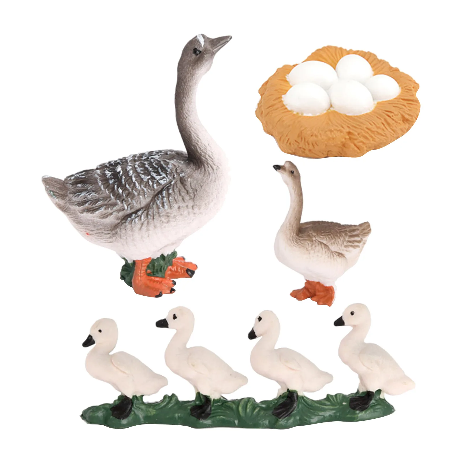 Realistic Growth Cycle Plastic Life Cycle Goose Model Biology Toy Teaching Aids
Realistic Growth Cycle Plastic Life Cycle Goose Model Biology Toy Teaching Aids