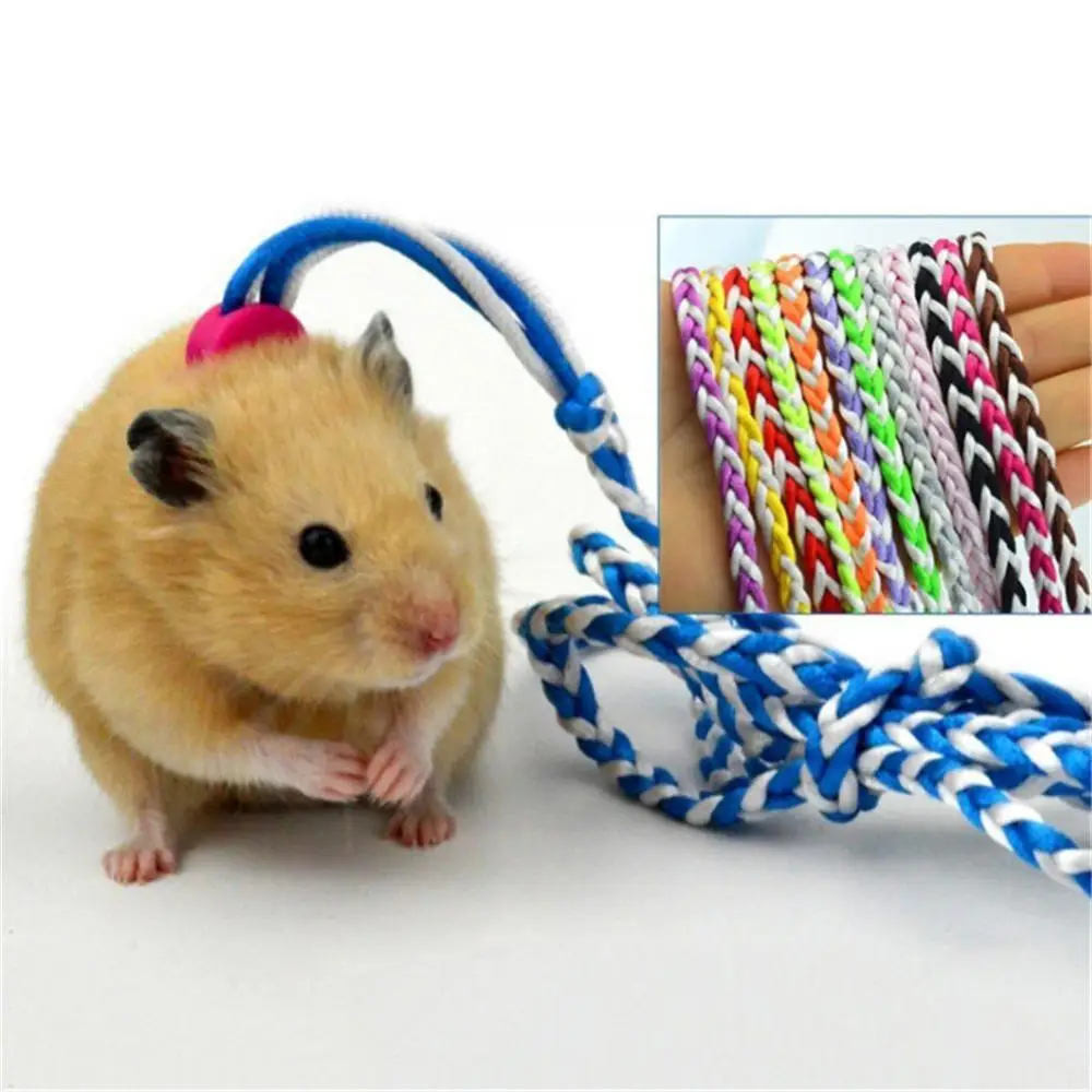 1.4/2m Small Pet Hamster Rabbit Adjustable Traction Rope Walking Collar Leash
1.4/2m Small Pet Hamster Rabbit Adjustable Traction Rope Walking Collar Leash