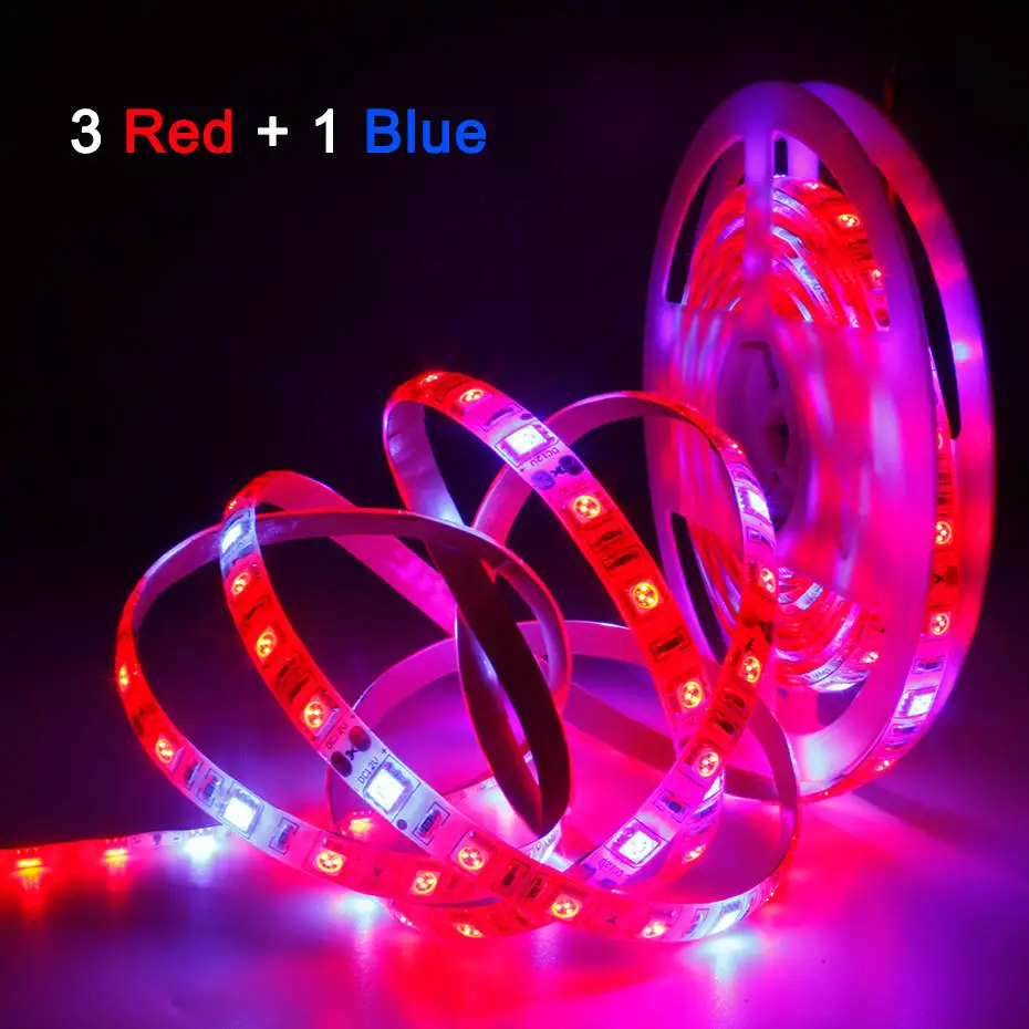 1M 2M 3M 4M 5M LED Strip Light 12V 300 LEDs 5050 Chip Full Spectrum Grow Lights For Greenhouse Hydroponic plant Flower seedling
1M 2M 3M 4M 5M LED Strip Light 12V 300 LEDs 5050 Chip Full Spectrum Grow Lights For Greenhouse Hydroponic plant Flower seedling