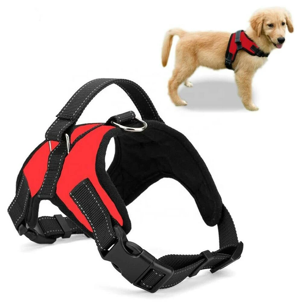 Nylon Dog Harness Collar High Quality Pet Products For Small Medium Large Dog harnais pour chie Dog Supplies arnes perro pequeño
Nylon Dog Harness Collar High Quality Pet Products For Small Medium Large Dog harnais pour chie Dog Supplies arnes perro pequeño