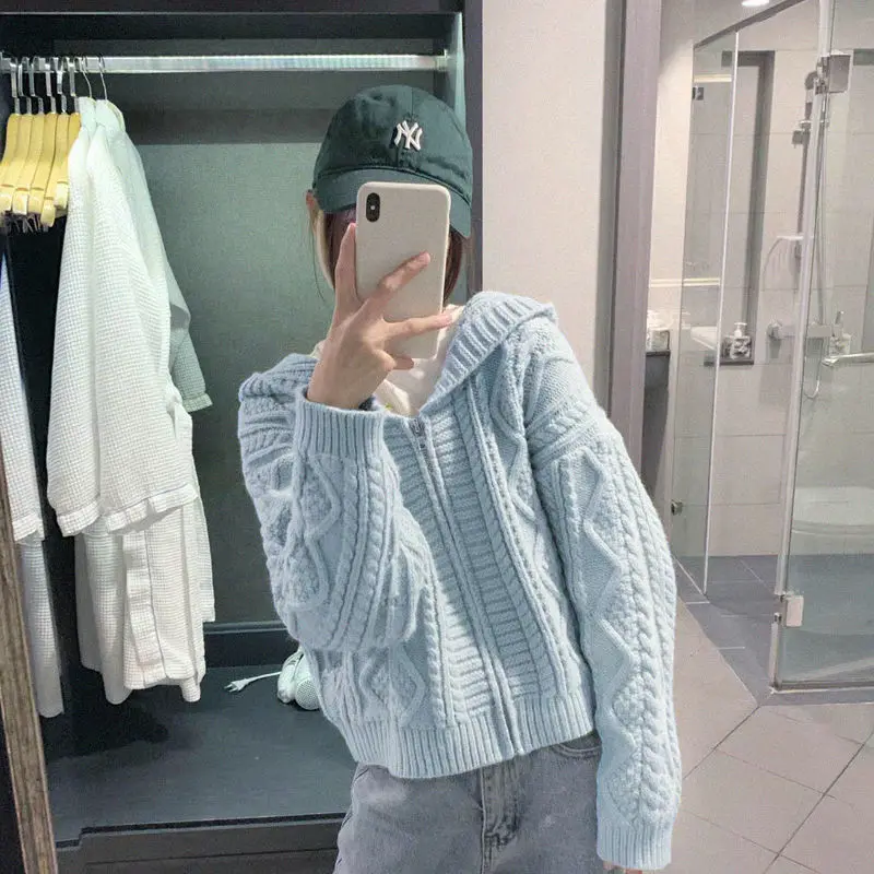 2022 New Spring Autumn Blue Hooded Women Short Cardigan Sweater Preppy Style Student Cardigans Knitted Twist Female Y169
2022 New Spring Autumn Blue Hooded Women Short Cardigan Sweater Preppy Style Student Cardigans Knitted Twist Female Y169