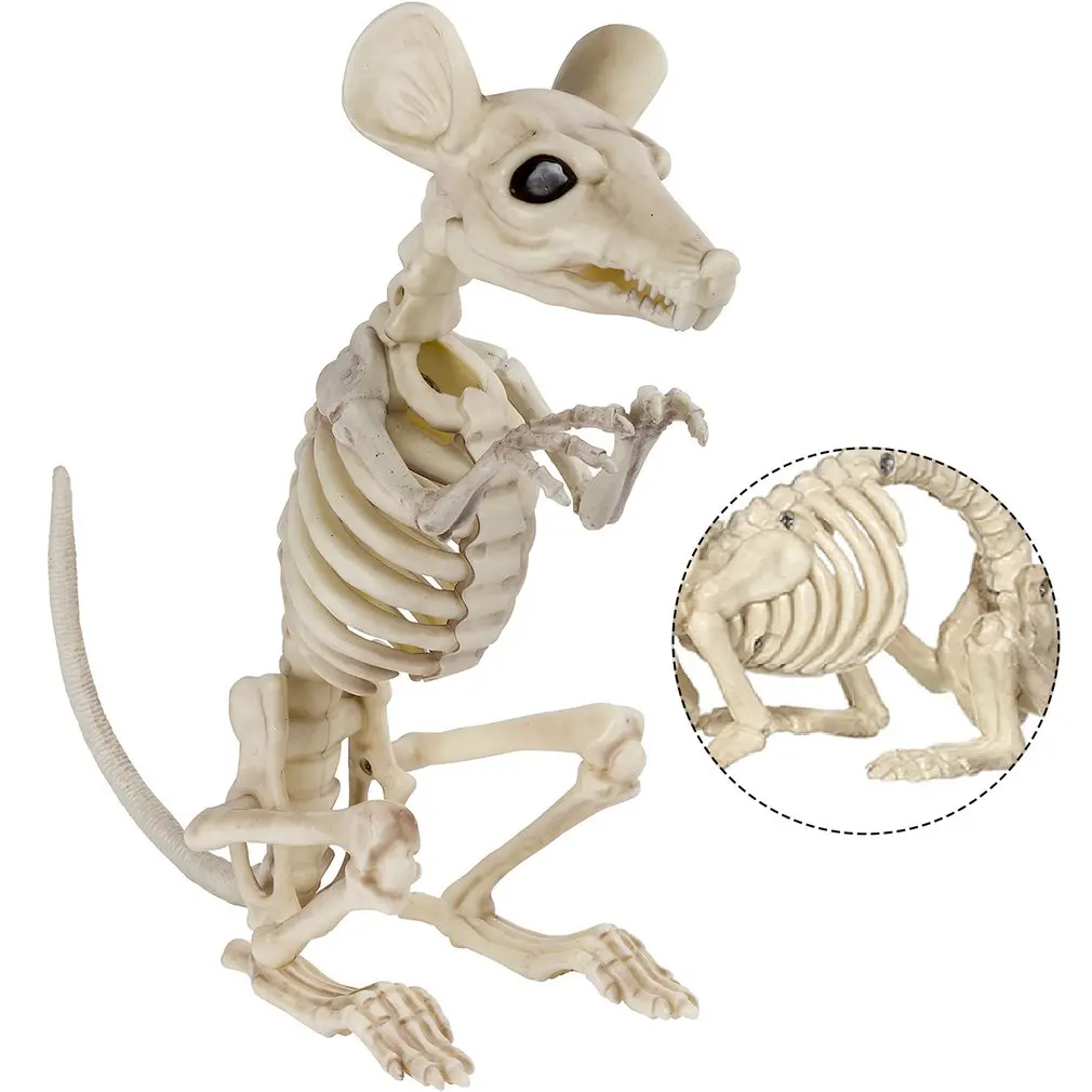 Halloween Horror Bats Skeleton Animal Skeleton Model Lifelike Festival Decor Party Creepy Halloween Decoration
Halloween Horror Bats Skeleton Animal Skeleton Model Lifelike Festival Decor Party Creepy Halloween Decoration