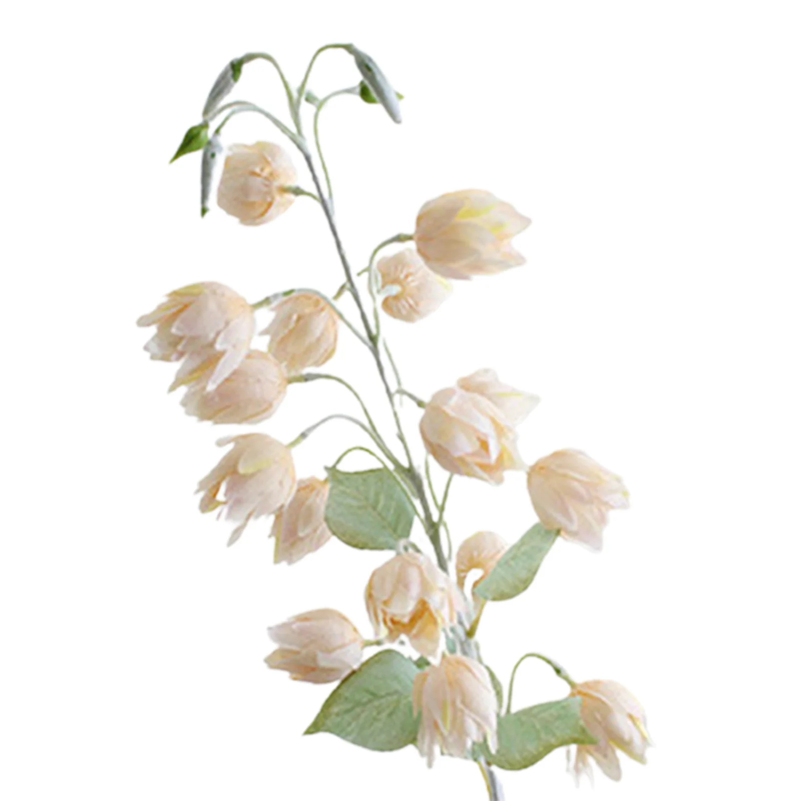 Simulation Flowers Beautiful Reusable Campanula Flower for Garden Home Wedding Floral Decoration DRSA889
Simulation Flowers Beautiful Reusable Campanula Flower for Garden Home Wedding Floral Decoration DRSA889
