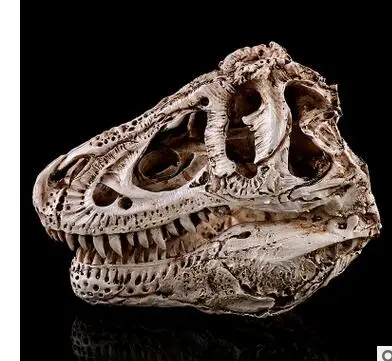 Single ridge dragon bone resin dinosaur skull animal research teaching creativity home furnishing personality culpture statue
Single ridge dragon bone resin dinosaur skull animal research teaching creativity home furnishing personality culpture statue